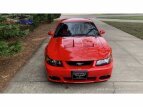 Thumbnail Photo 8 for 2003 Ford Mustang Cobra Coupe